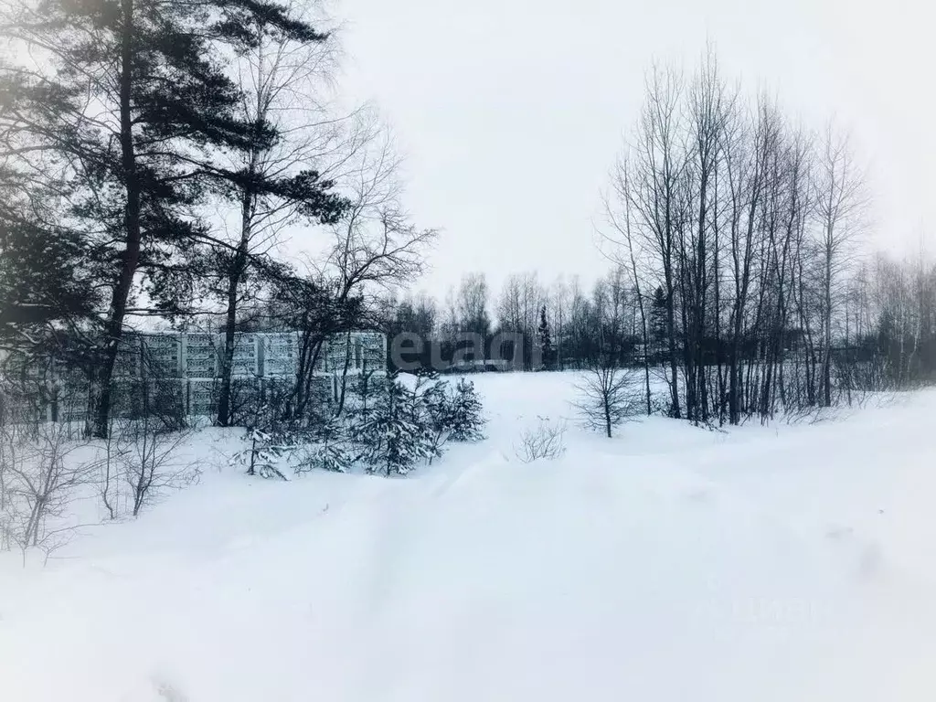 Участок в Калужская область, Калуга Секиотовская ул. (6.45 сот.) - Фото 1