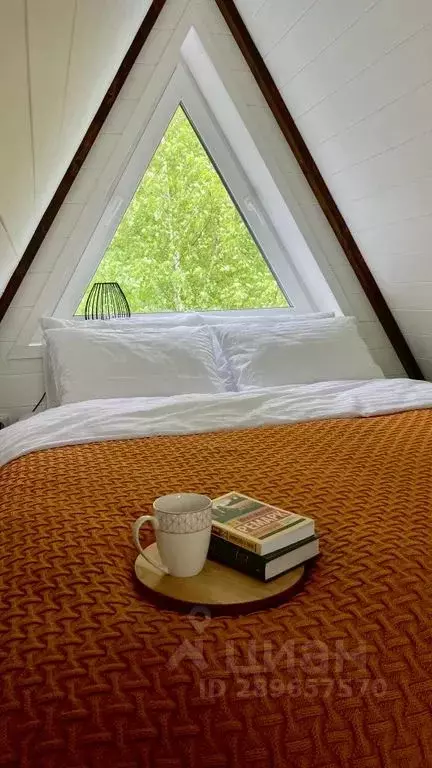 Дом в Московская область, Серебряные Пруды муниципальный округ, д. ... - Фото 2