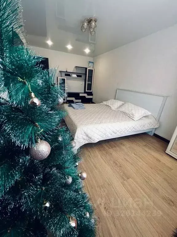 2-к кв. Еврейская автономная область, Биробиджан имени Бумагина мкр, ... - Фото 1