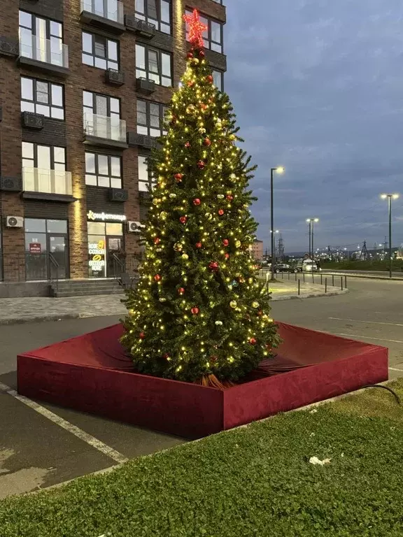 1-к кв. Адыгея, Майкоп ул. К.А. Васильева, 1к3 (45.0 м) - Фото 2