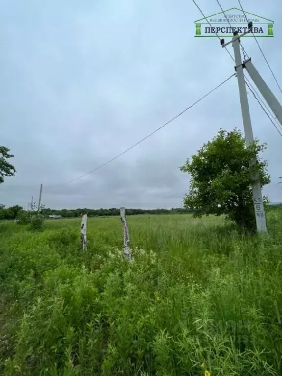 Участок в Приморский край, Артемовский городской округ, с. Кролевцы ... - Фото 1