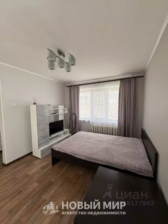 1-к кв. Нижегородская область, Бор ул. Максима Горького, 104 (30.1 м) - Фото 1