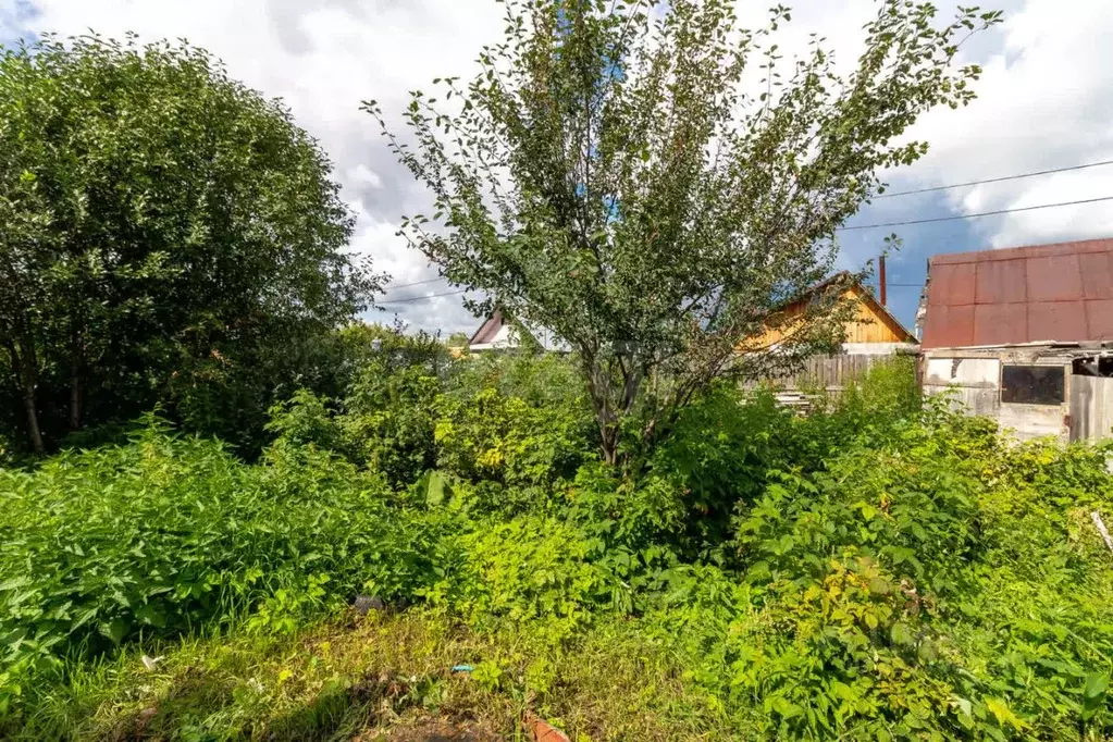 Дом в Тюменская область, Тюмень Подорожник СНТ, ул. Ягодная (24 м) - Фото 1