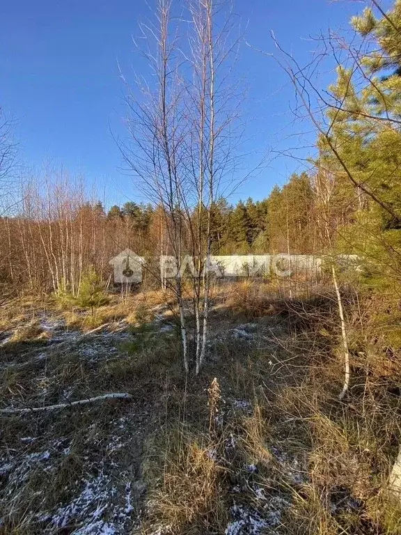 Участок в Владимирская область, Владимир д. Уварово,  (15.0 сот.) - Фото 1