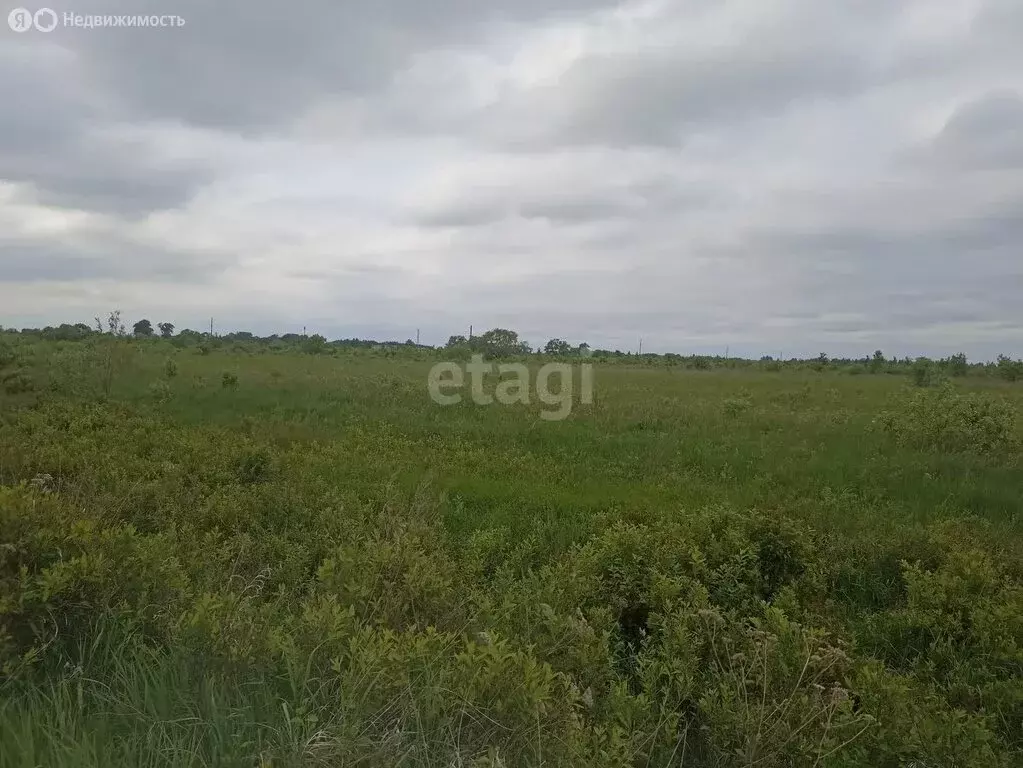 Участок в Хабаровский район, село Чистополье (10 м) - Фото 0