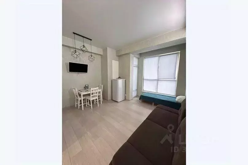 1-к кв. Краснодарский край, Сочи ул. Гастелло, 28 (25.0 м) - Фото 1