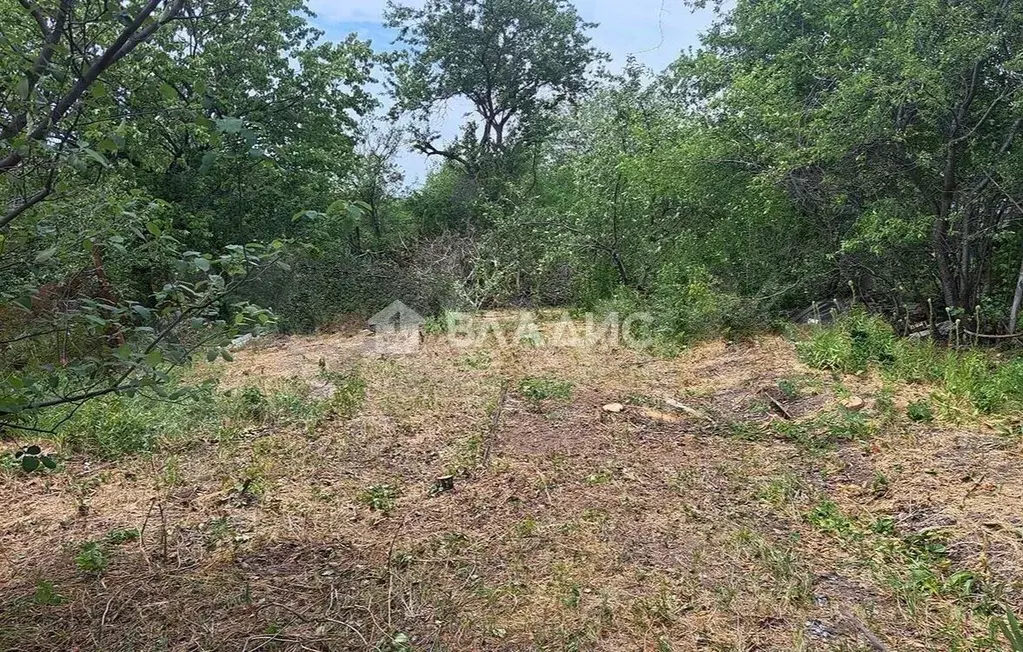 Участок в Ростовская область, Ростов-на-Дону Садовод-Любитель садовое ... - Фото 1