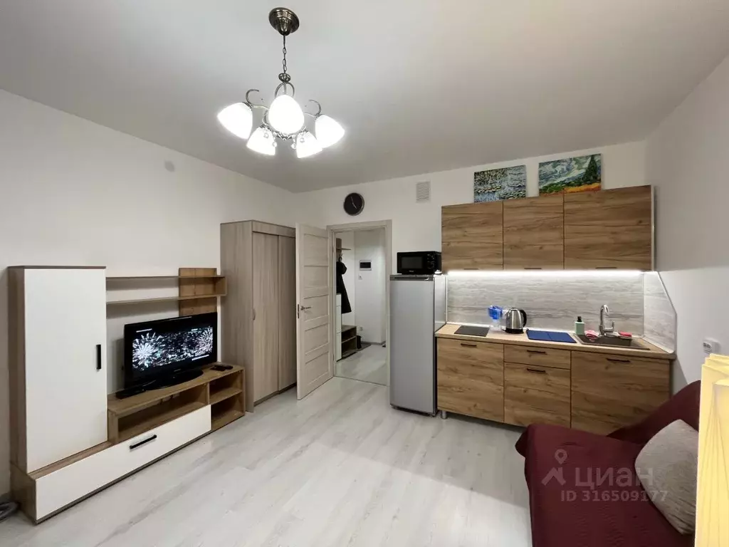 Студия Санкт-Петербург просп. Буденного, 23к5 (25.0 м) - Фото 0