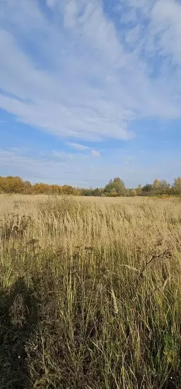 Участок в Московская область, Клин городской округ, д. Першутино 116 ... - Фото 2