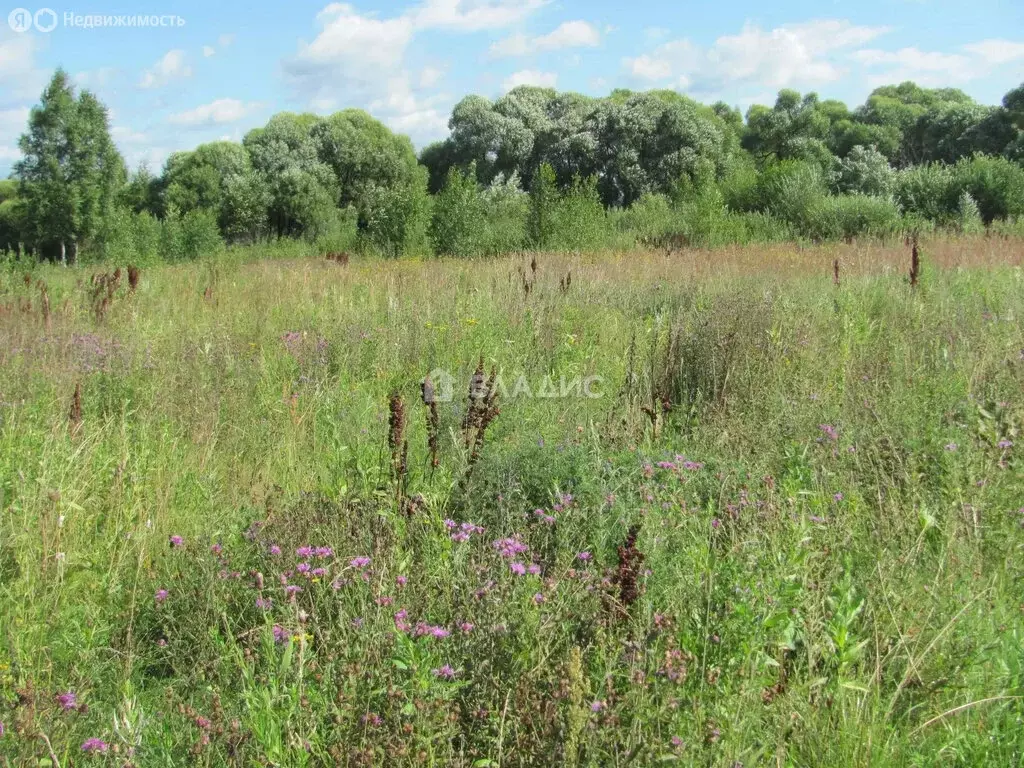 Участок в Владимирская область, Судогодский муниципальный округ, ... - Фото 2