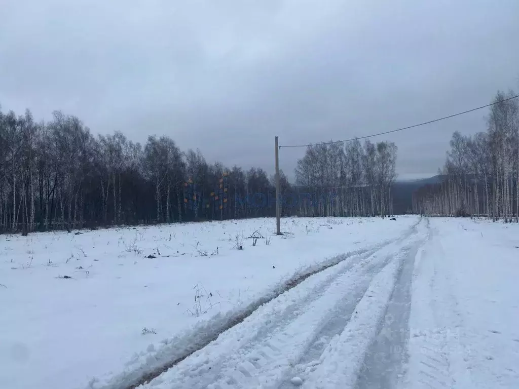 Участок в Нижегородская область, Нижний Новгород д. Карабатово, ул. ... - Фото 1