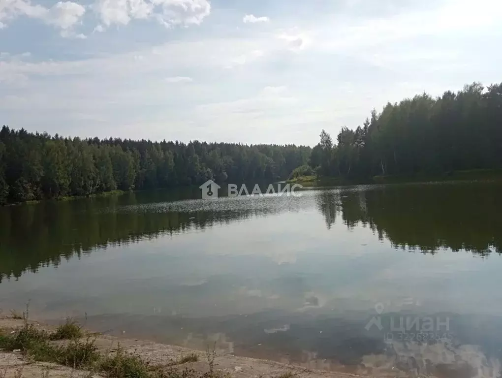 Участок в Владимирская область, Собинский муниципальный округ, д. ... - Фото 2