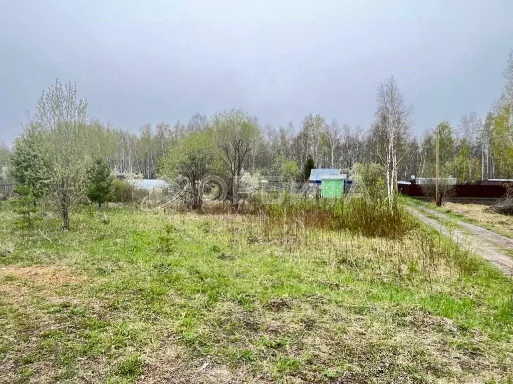 Участок в Тюменская область, Тюменский район, Исток СНТ ул. ... - Фото 0