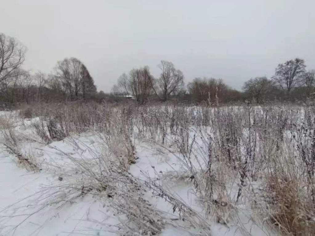 Участок в Московская область, Коломна городской округ, д. Новая  (20.0 ... - Фото 0