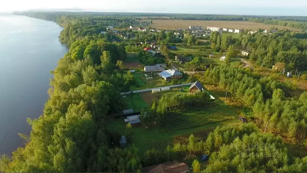 Участок в Нижегородская область, Чкаловск городской округ, д. ... - Фото 0