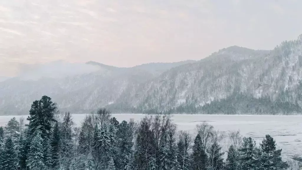 Дом в Алтай, Турочакский район, с. Артыбаш Телецкая ул., 128Б (67 м) - Фото 2
