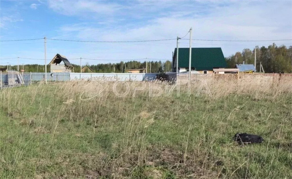 Участок в Тюменская область, Тюменский муниципальный округ, д. Якуши ... - Фото 1