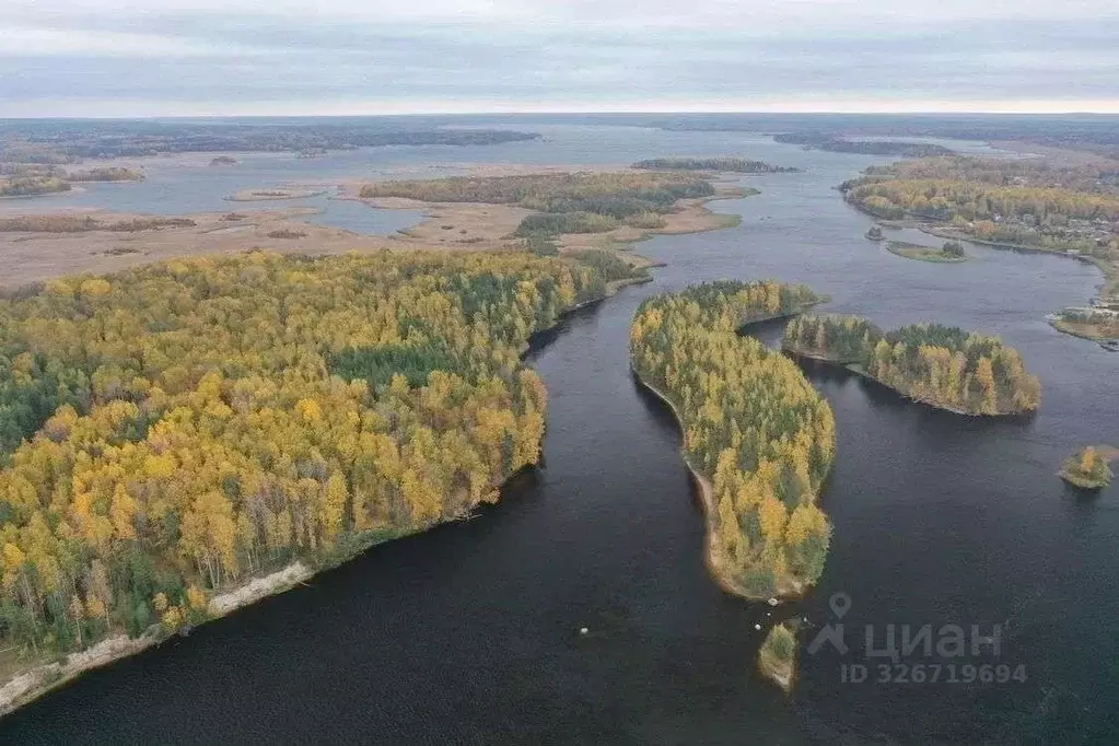 Участок в Ленинградская область, Выборгский район, Гончаровское с/пос, ... - Фото 1