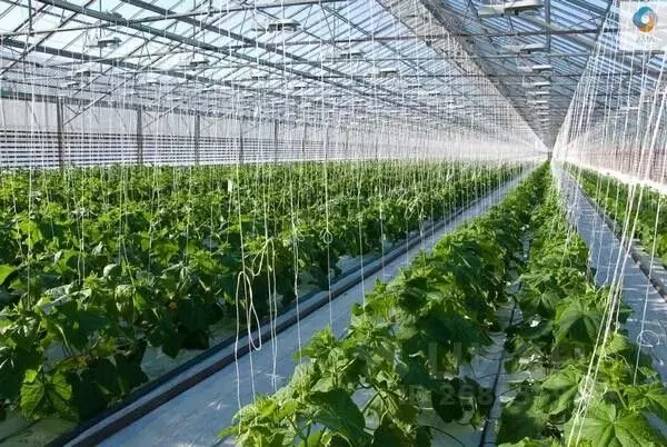 Участок в Омская область, Любино-Малоросское с/пос  (273.0 сот.) - Фото 1