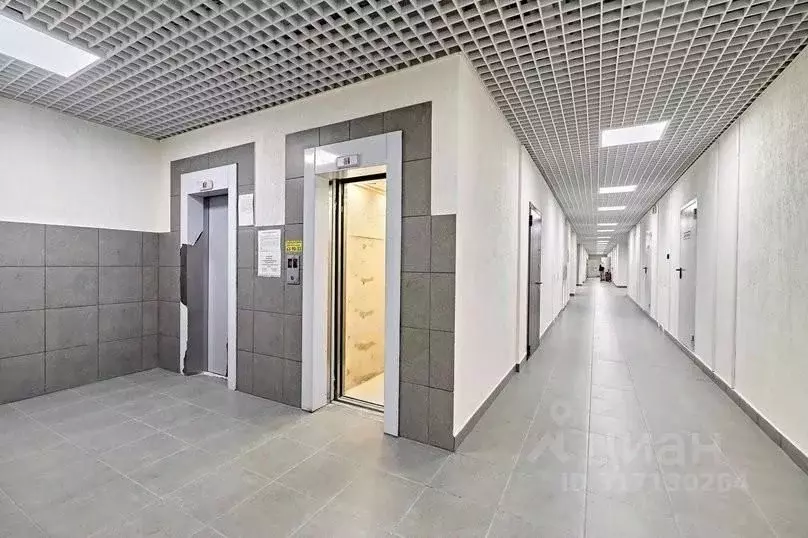 1-к кв. Омская область, Омск ул. Маршала Жукова, 156 (33.0 м) - Фото 1