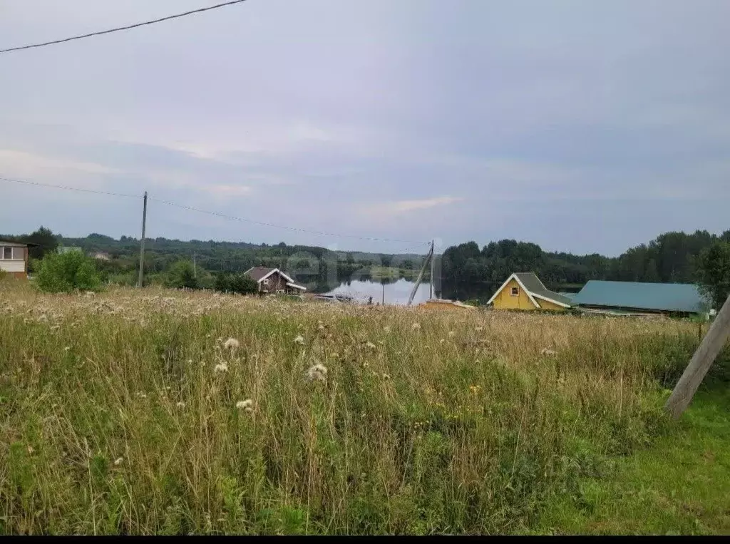 Участок в Вологодская область, Белозерский муниципальный округ, д. ... - Фото 1
