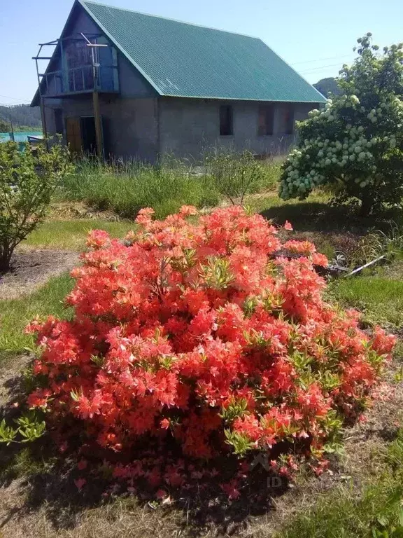 Дом в Сахалинская область, Холмский городской округ, с. Яблочное ул. ... - Фото 1