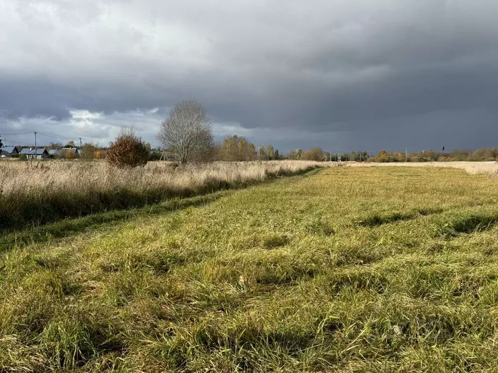 Участок в Ленинградская область, Гатчинский муниципальный округ, с. ... - Фото 2