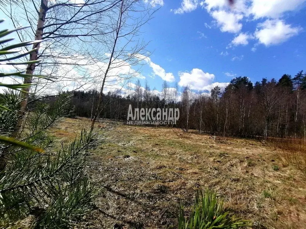 Участок в Ленинградская область, Приозерский район, Ларионовское ... - Фото 1