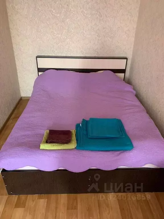 1-к кв. Волгоградская область, Калач-на-Дону ул. Чекмарева, 51 (33.0 ... - Фото 2