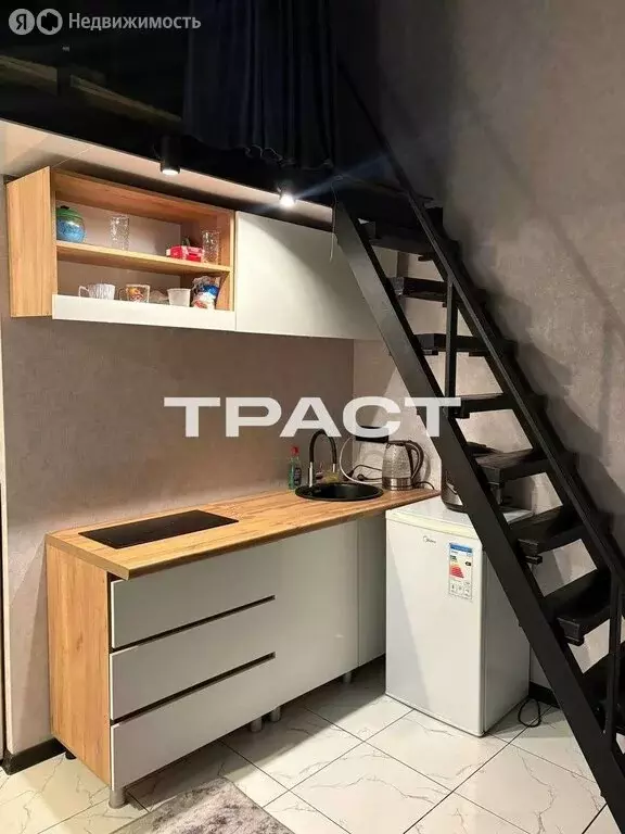 Квартира-студия: Воронеж, улица Карла Маркса, 116А (24 м) - Фото 1