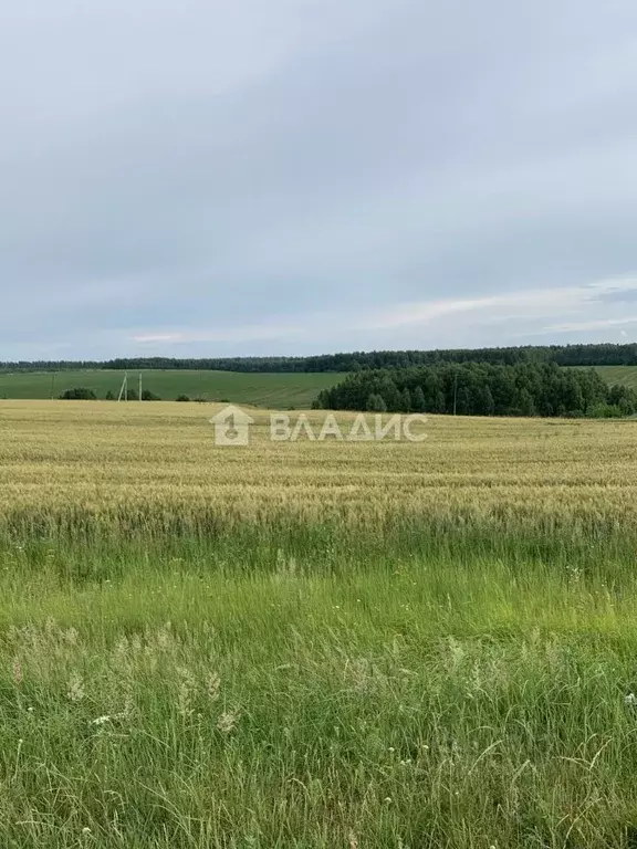 Участок в Нижегородская область, Нижний Новгород д. Кувардино, ул. ... - Фото 1