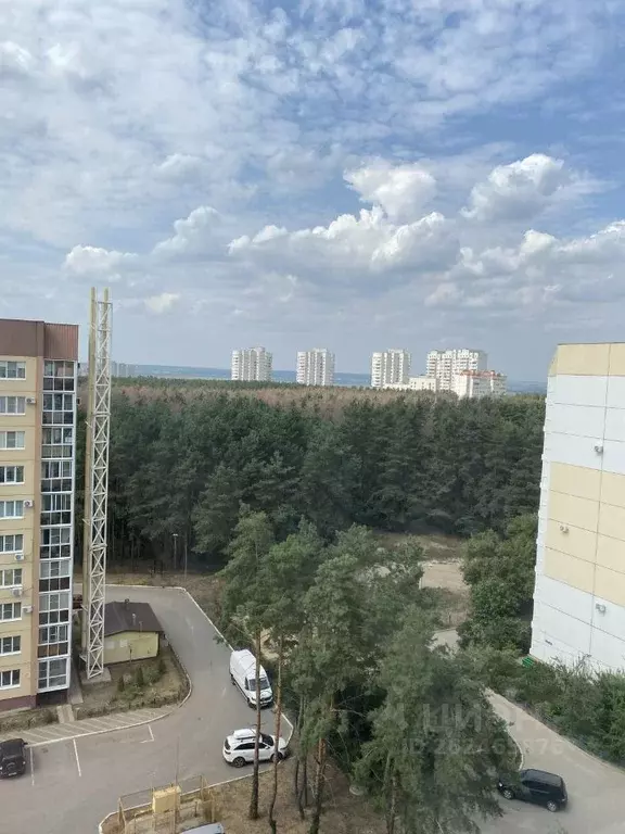 1-к кв. Воронежская область, Воронеж ул. Мордасовой, 7 (38.0 м) - Фото 1