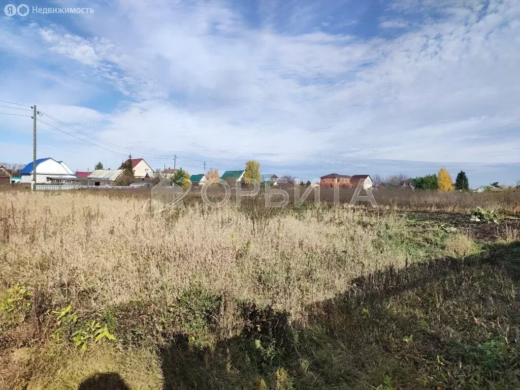 Участок в Тюменский муниципальный округ, село Кулаково (16.05 м) - Фото 1