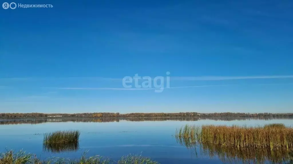 Участок в Ярославская область, сельское поселение Некрасовское, ... - Фото 1