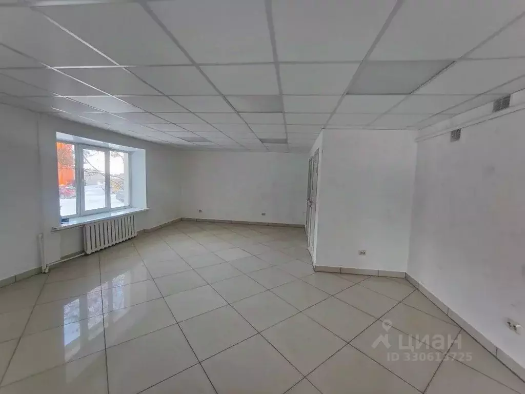 Помещение свободного назначения в Брянская область, Брянск пер. ... - Фото 2