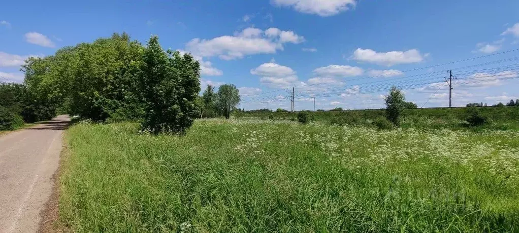 Участок в Московская область, Солнечногорск городской округ, д. ... - Фото 1