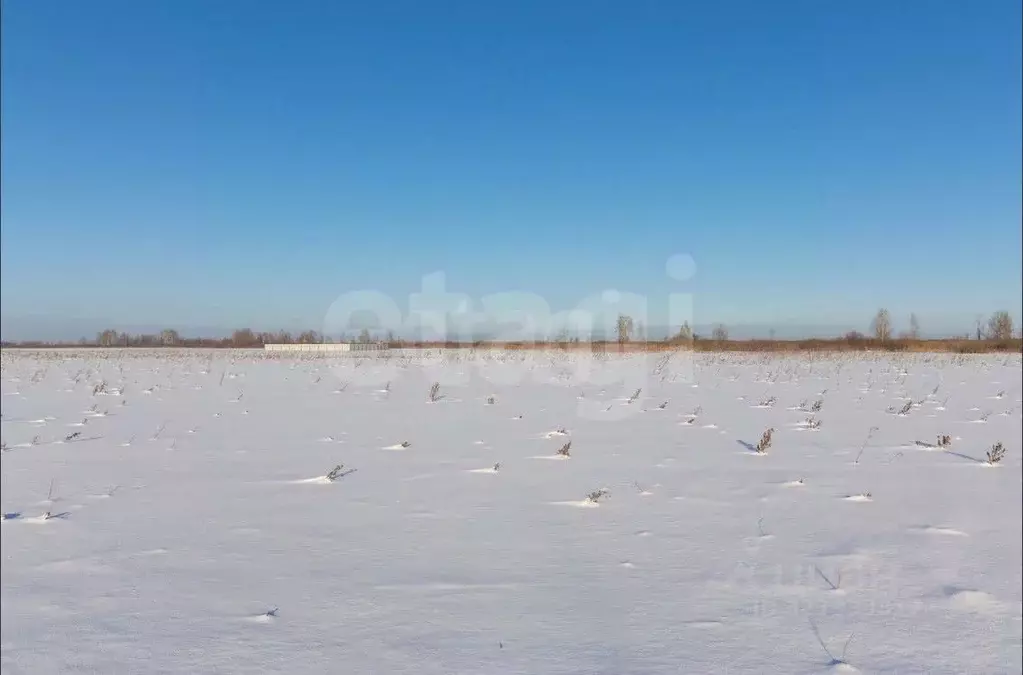 Участок в Тюменская область, Тюмень  (6.7 сот.) - Фото 1