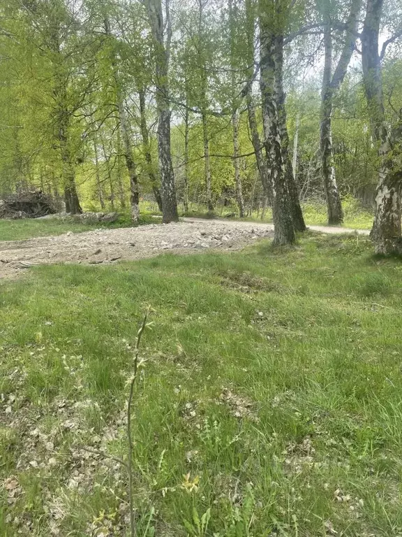 Участок в Калининградская область, Зеленоградский муниципальный округ, ... - Фото 0