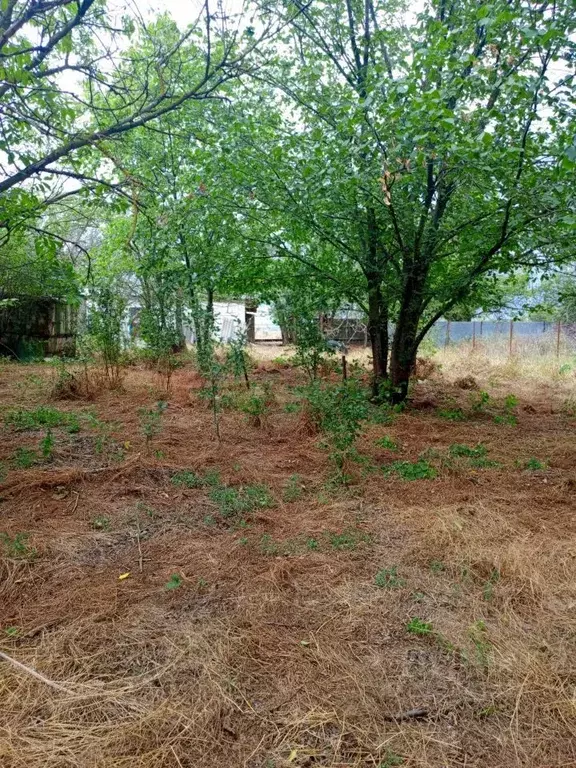 Участок в Ростовская область, Октябрьский район, Бессергеневское ... - Фото 1