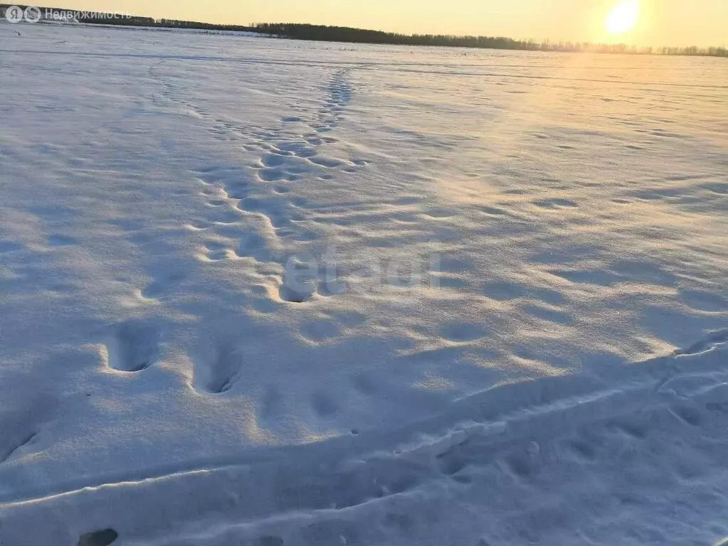 Участок в Аргаяшский район, Норкинское сельское поселение, деревня ... - Фото 1