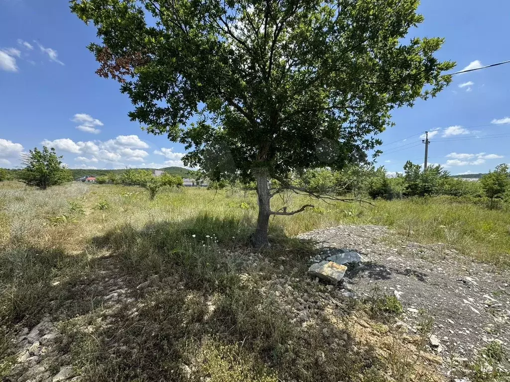 Участок 15 сот. (СНТ, ДНП) - Фото 0