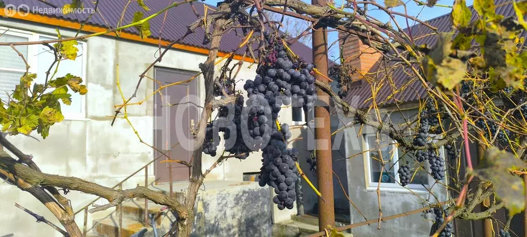 Дом в Молдаванское, Советская улица, 2 (65.6 м) - Фото 2