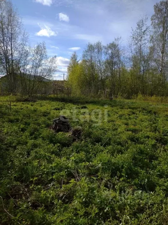 Дом в Вологодская область, Шекснинский район, Нифантовское с/пос, ... - Фото 0