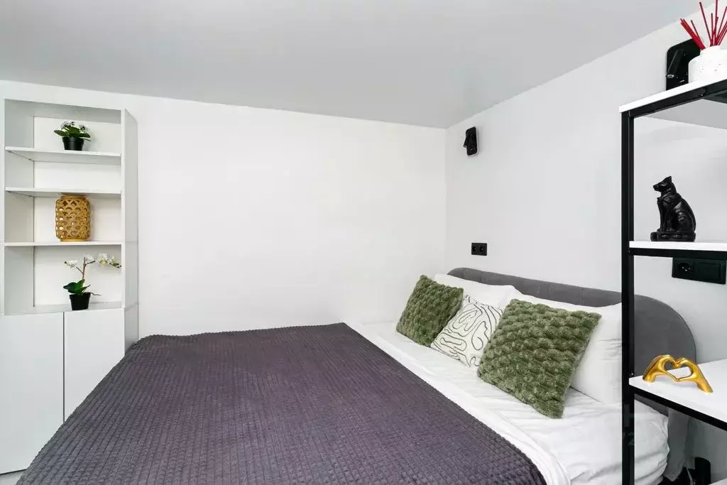 Студия Санкт-Петербург ул. Жуковского, 21 (20.0 м) - Фото 2