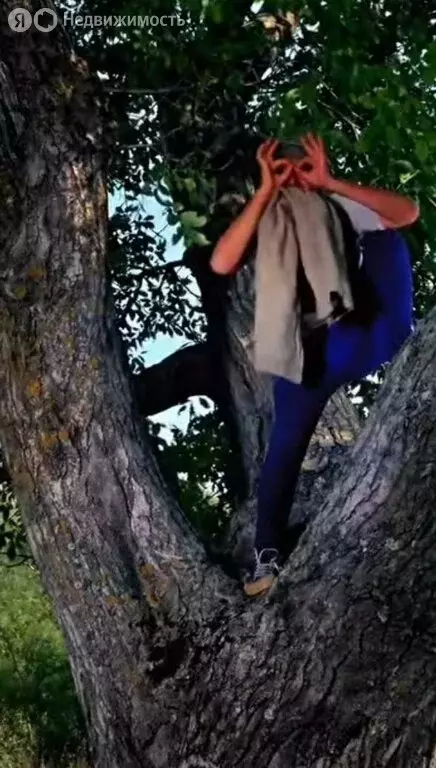 Участок в Лучистое, улица имени Ю. Никулина, 19 (60 м) - Фото 2