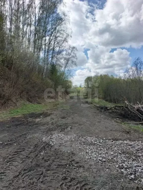 Участок в Кемеровская область, Новокузнецкий муниципальный округ, пос. ... - Фото 1