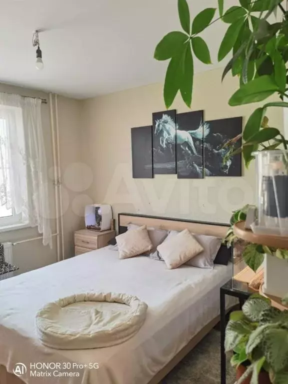 2-к. квартира, 60 м, 11/12 эт. - Фото 0
