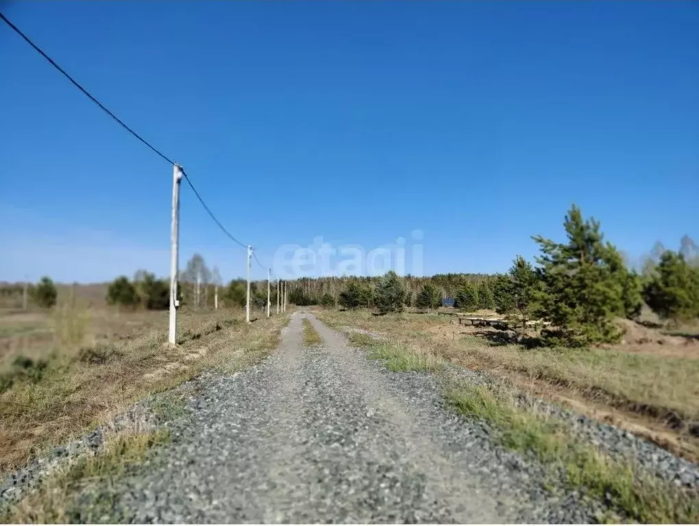 Участок в Тюменская область, Нижнетавдинский муниципальный округ, ... - Фото 1