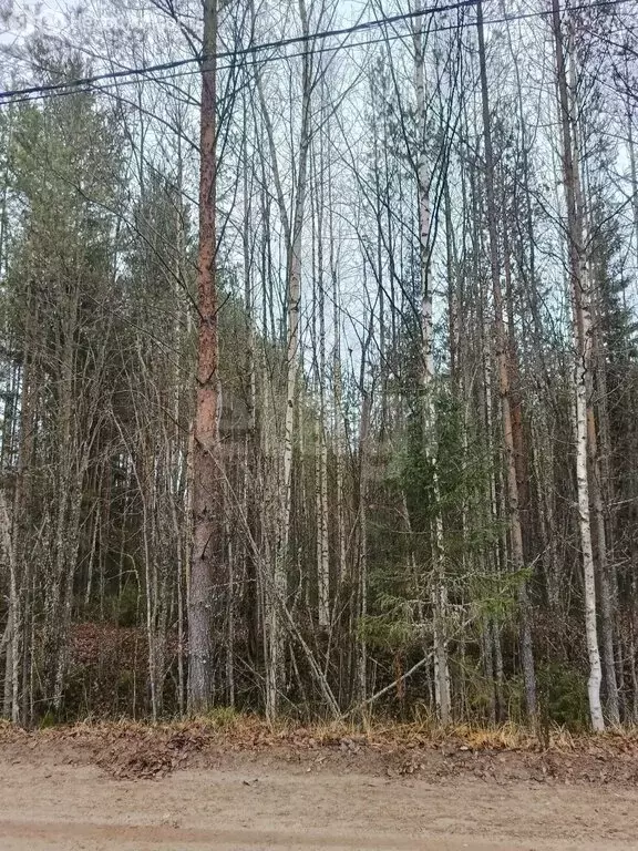 Участок в посёлок городского типа Верхняя Максаковка, 1-я Белоборская ... - Фото 1