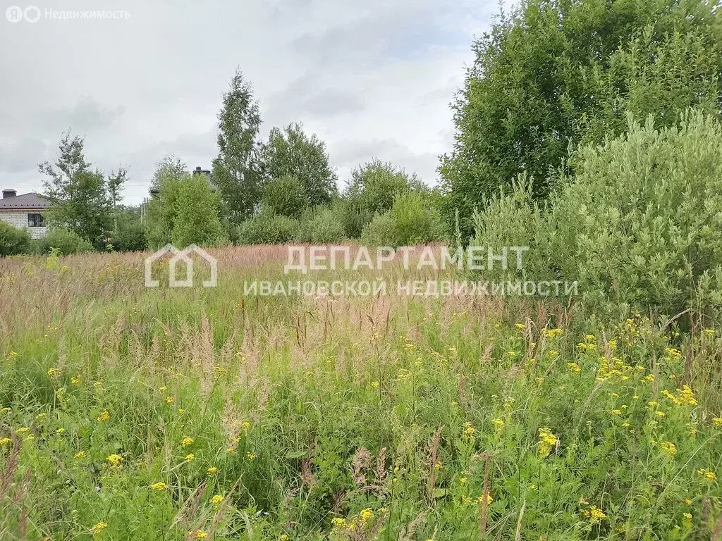 Участок в Фурмановский район, Широковское сельское поселение, деревня ... - Фото 1